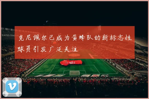 克尼佩尔已成为黄蜂队的新标志性球员引发广泛关注