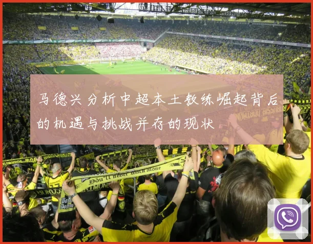 马德兴分析中超本土教练崛起背后的机遇与挑战并存的现状