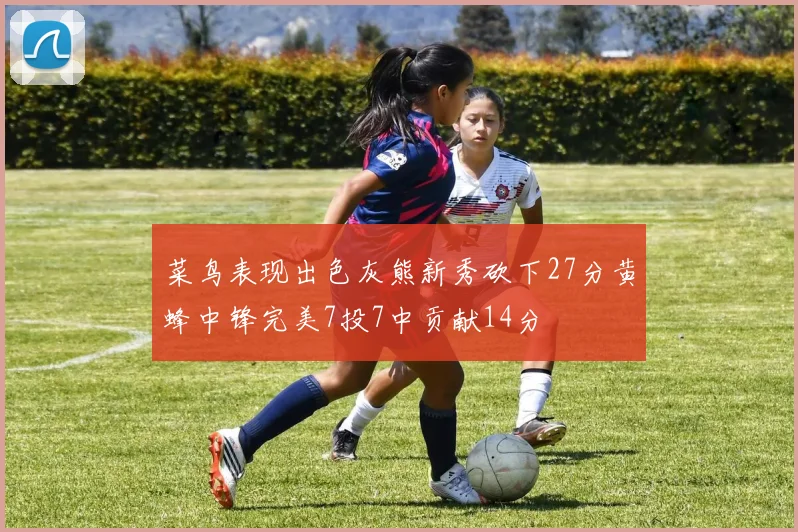 菜鸟表现出色灰熊新秀砍下27分黄蜂中锋完美7投7中贡献14分