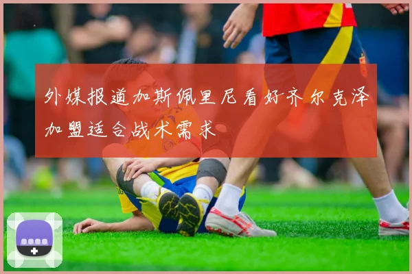 外媒报道加斯佩里尼看好齐尔克泽加盟适合战术需求