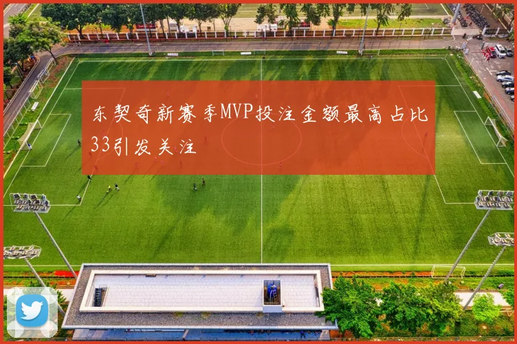 东契奇新赛季MVP投注金额最高占比33引发关注