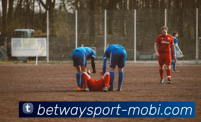 多媒体互动体验